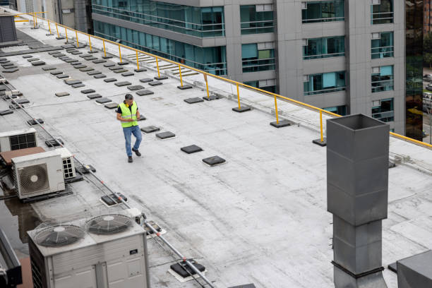 Best Roof Coating and Sealing  in Braddock Heights, MD